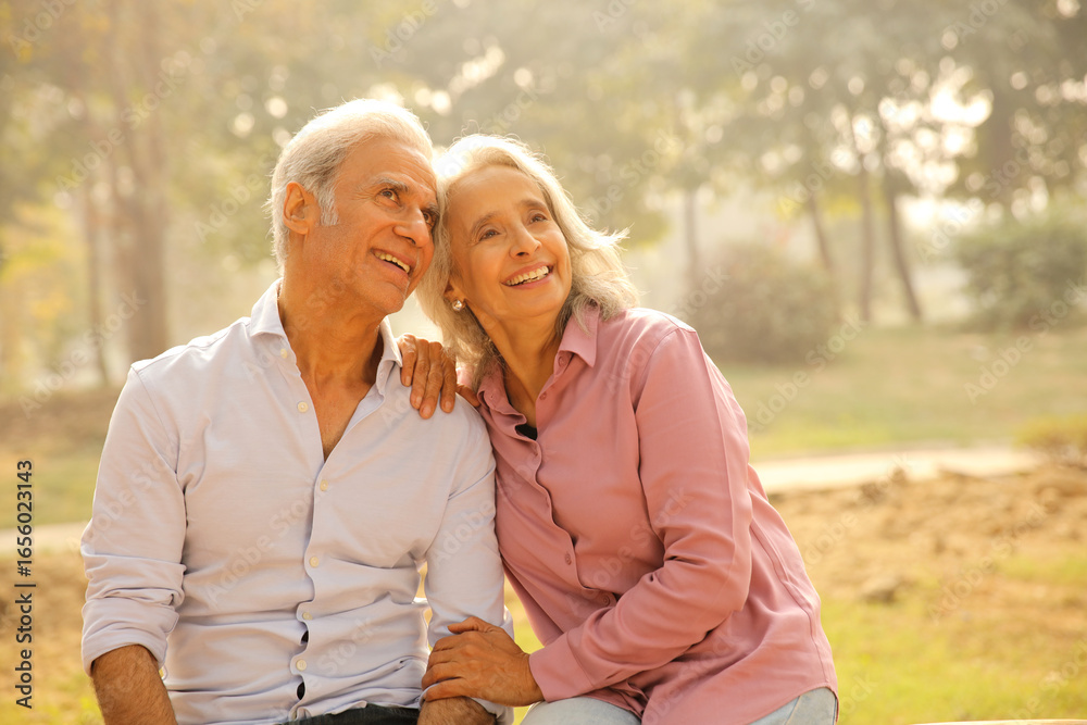 Fototapeta premium Senior Couple Enjoys A Sunny Day In The Park