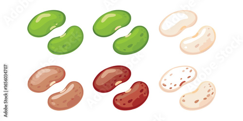 Colorful Bean Collection Cartoon Illustration Featuring a Variety of Dried Beans Including Pinto, Kidney, and Green Lima Beans