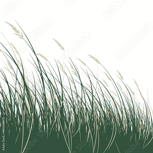 Serene Meadow: Whispering Grass in the Breeze,A Tranquil Field of Green: Nature's Gentle Embrace in a Vector Design