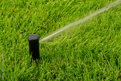 Lush green lawn being watered by automated sprinkler head, with fine spray of water arcing across grass. Automatic equipment for irrigation and maintenance of lawns, gardening, landscaping.