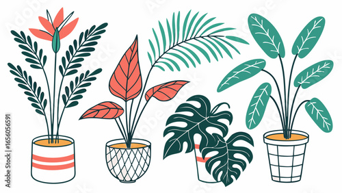 Vector collection of modern trendy potted houseplants illustration set.