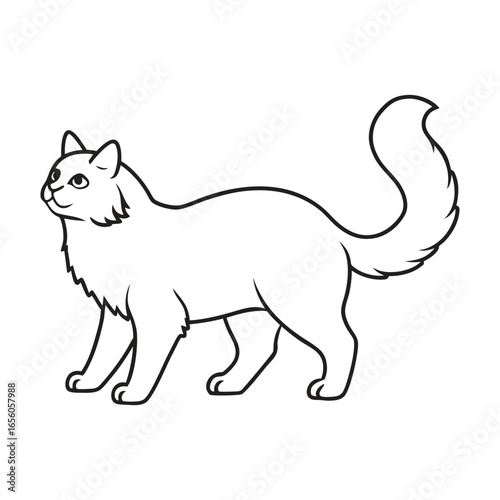 Outline drawing of a fluffy cat standing and looking up