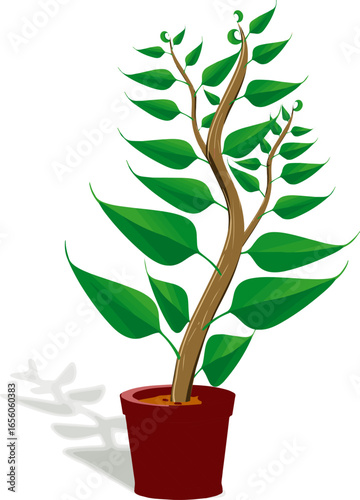 Isolated a kinds of deferent plant seedling tree vector art color with white background.