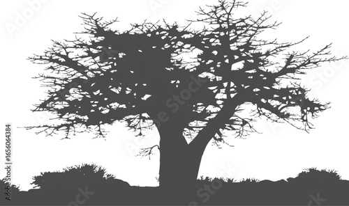 Isolated a kinds of deferent tree vector art silhouette with white background.