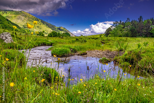 Foto Small stream in Mijanès in the Pyrenees