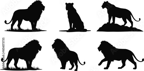 Lion silhouette vector set, male lion and lioness illustration, wild animal shape, savannah predator icon, black jungle wildlife design