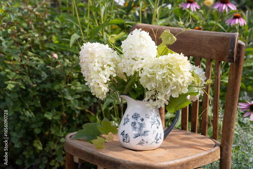 bouquet of hydrangeas paniculata Phantom in a vase in the garden