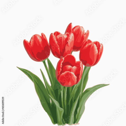Tulip. Bouquet of five tulips. Perennial flower. Spring Summer.