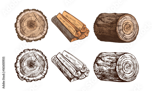 Hand drawn vintage sketch of firewood, stump and log in brown ink engraving and color style, isolated vector illustration