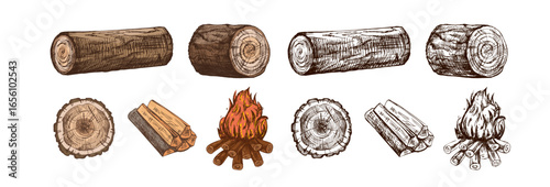 Hand drawn vintage sketch of firewood, burning campfire, log and tree stump in brown ink and color style