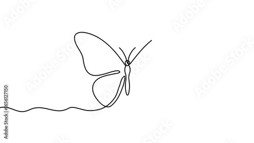 Animation of a single line drawing of a butterfly. Continuous contour movement of a butterfly. Continuous video with one line.