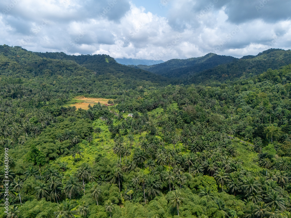 Naklejka premium Aerial view of São Tomé’s tropical coastline near São João dos Angolares, with turquoise waters, black volcanic rocks, and dense palm forest.