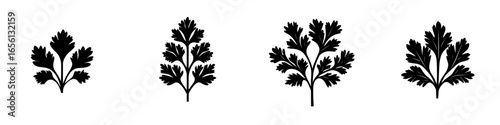 Silhouettes of various green herbs arranged side by side on a clean white background