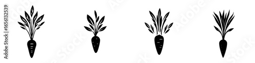 Graphic representation of carrot designs showcasing various leaf styles with a modern artistic flair