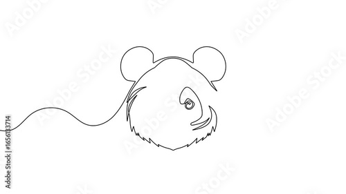 Animation of a single line drawing of a bear's face. Continuous contour movement of a bear's face. Continuous video with one line.