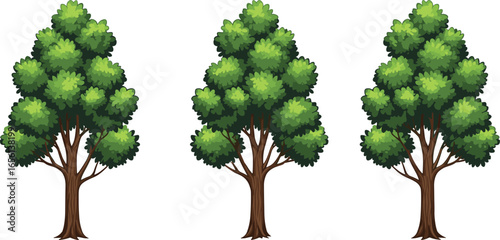 Cartoon Tall Trees with Green Bushy Leaves and Brown Trunks Isolated on White Background for Forest, Nature, or Game Scene Design