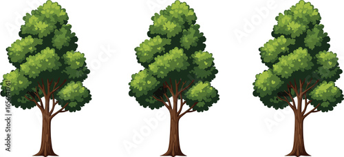 Set of Three Cartoon Forest Trees with Green Bushy Foliage and Brown Trunks Isolated on White Background for Nature and Game Design