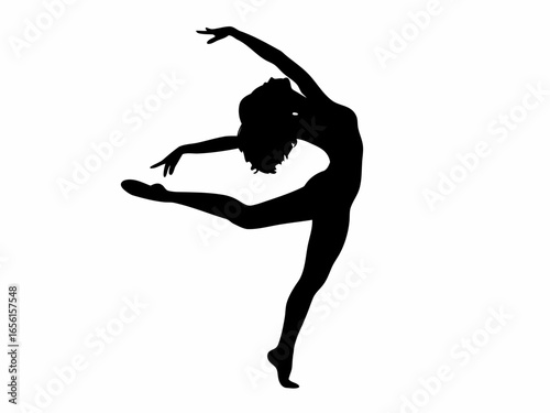  Female dancer silhouette in elegant pose