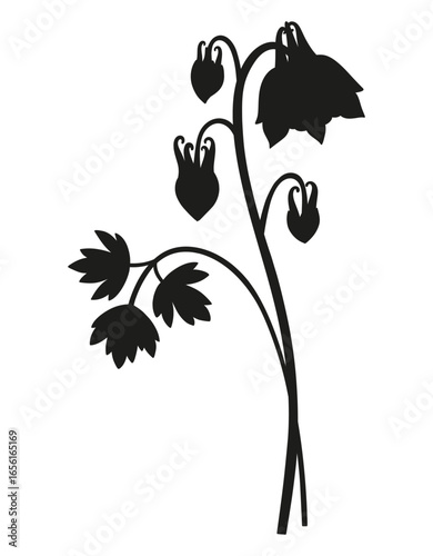 Bouquet silhouette of aquilegia flower with buds and leaf. Bunche of blooming perennial wild plant, minimal style. Botanical hand-drawn elements for design projects. Vector illustration