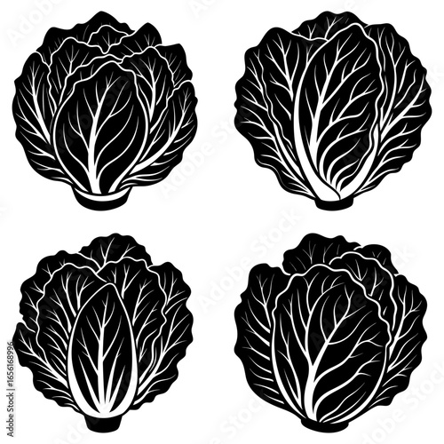 Four monochrome stylized cabbage heads with detailed leaf patterns arranged on a white background artfully drawn
