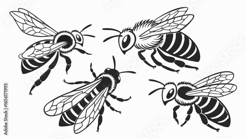 A collection of four stylized black and white illustrations of flying bees on a white background
