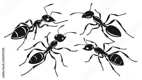 A group of stylized black ants in various poses against a white background