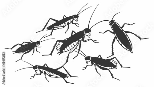 A group of stylized black cockroaches scattered across a white background in a graphic illustration style