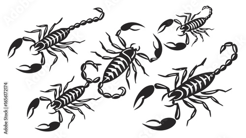 A striking black and white graphic illustration featuring a collection of five stylized scorpions in various dynamic poses