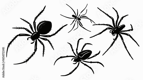 Collection of four black spider silhouettes in various poses on a white background
