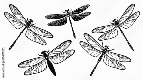 Collection of five stylized black dragonflies in various poses and orientations on a white background
