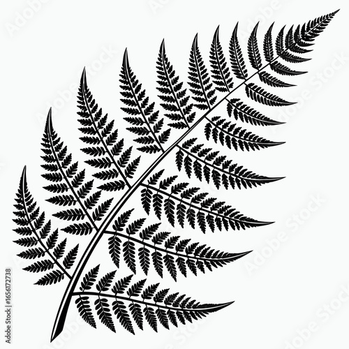 Elegant black silhouette of a fern frond with intricate details on a clean white background