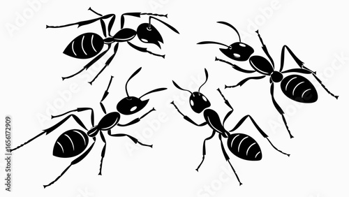 Four stylized black ants with segmented bodies and antennae are depicted in a dynamic arrangement on a white background