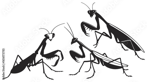 Three stylized black silhouette praying mantises in various poses on a white background