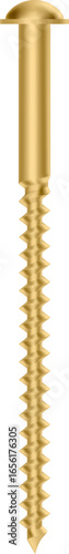 Gold screw with large head and helical thread is connecting elements, providing strong and reliable fastening for various construction and engineering applications