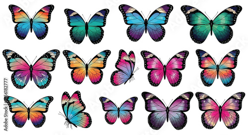 Collection of Colorful Butterflies in Various Poses A Vector Illustration