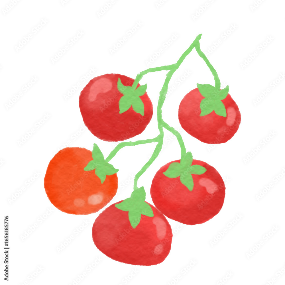 Naklejka premium watercolor tomatoes
