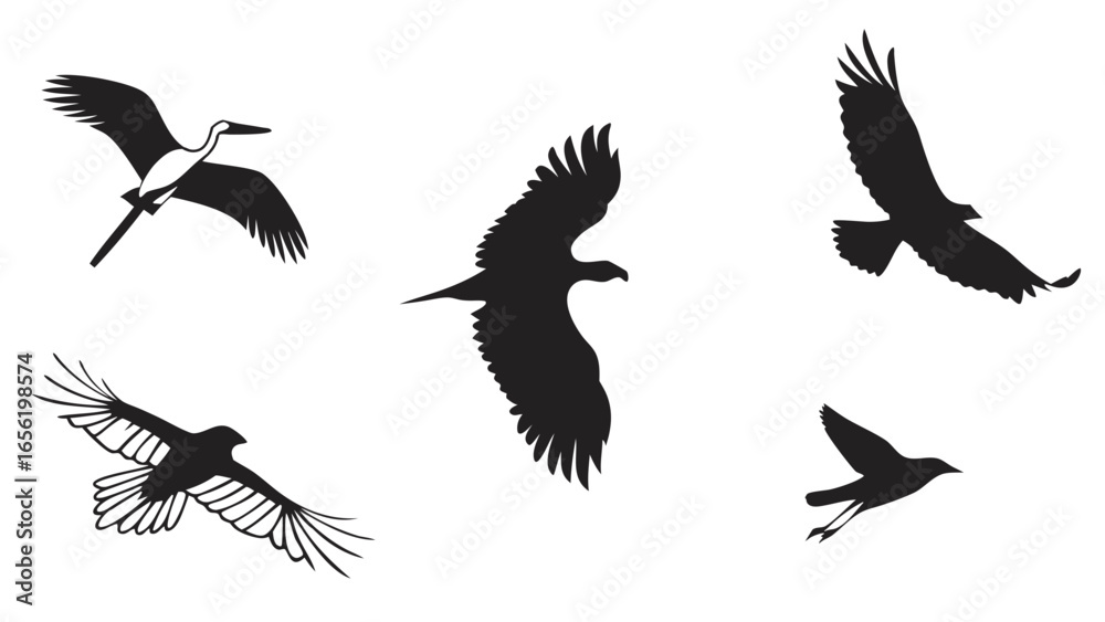 Obraz premium Blank White SVG Background Minimalist Vector Design Element