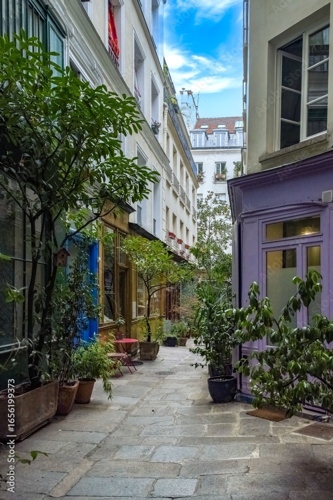 Fototapeta premium Paris, the passage de l Ancre, covered pathway