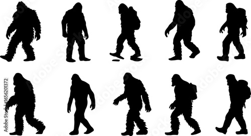 Silhouettes of Sasquatch: A Walk Through Myth and Mystery