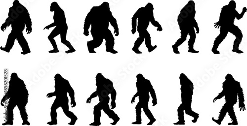 Silhouettes of Sasquatch: A Walk Through Myth and Mystery