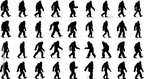 Silhouettes of Sasquatch: A Walk Through Myth and Mystery