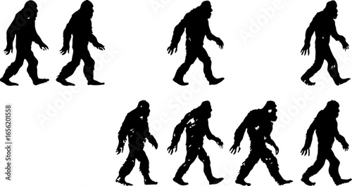 Silhouettes of Sasquatch: A Walk Through Myth and Mystery
