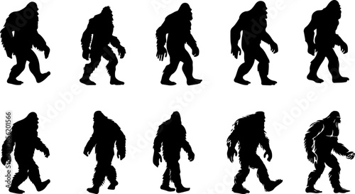 Silhouettes of Sasquatch: A Walk Through Myth and Mystery