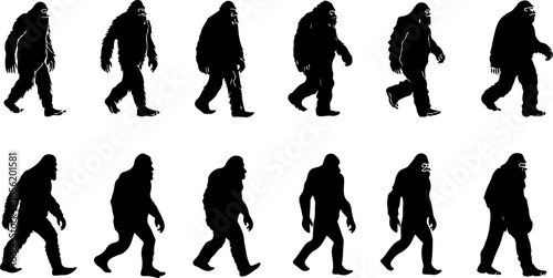 Silhouettes of Sasquatch: A Walk Through Myth and Mystery