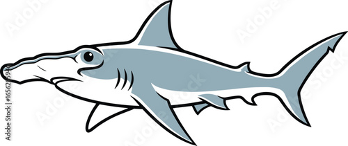 Cartoon hammerhead shark with gray body and white accents, smiling mascot vector for marine life, ocean education, games, and merchandise designs