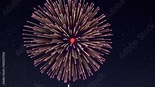 [Moments of Beauty] Stunning Fireworks Shining in the Night Sky