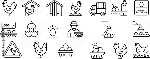 Chicken farming icons, egg production, poultry farm, organic certification, farmer with basket, chicken coop, fresh eggs, livestock agriculture, flat vector illustration