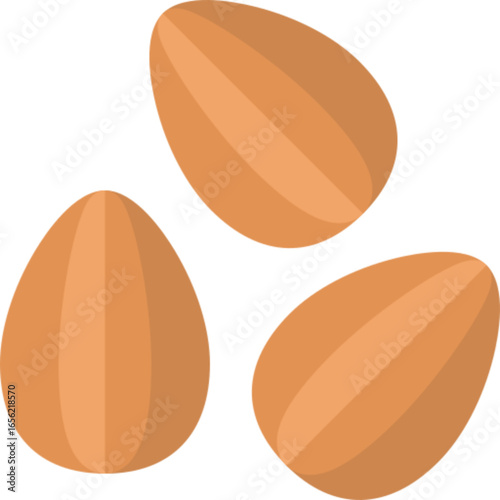 Premium Almond Nuts