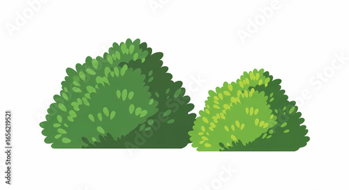 Vector illustration of two green bushes