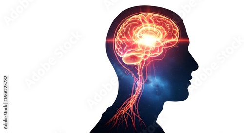 Wallpaper Mural Digital illustration of a human silhouette with a glowing brain and nervous system, symbolizing intelligence, innovation, and consciousness Torontodigital.ca